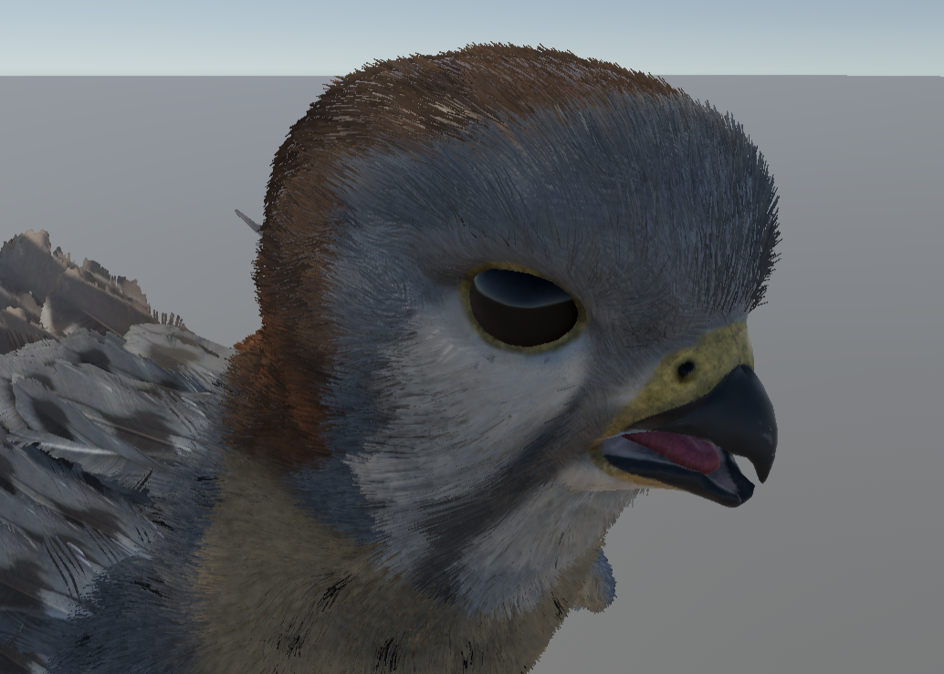 Kestrel headshot by Jaden Rogers